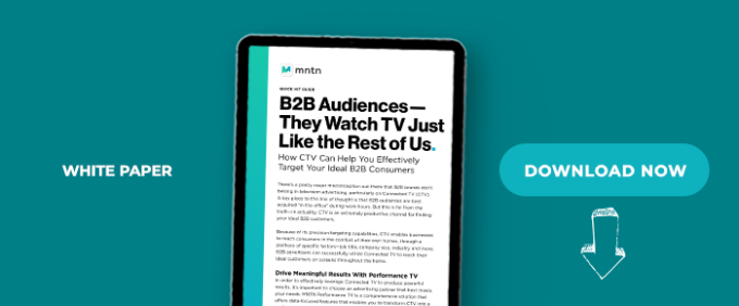 B2B Audiences: They Watch TV Just Like The Rest Of Us